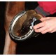 CORNUCRESCINA HOOF OINTMENT CARR&DAY&MARTIN