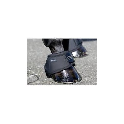 PARAGLOMI DALMAR HORSEWARE