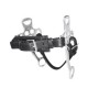 HACKAMORE TATTINI
