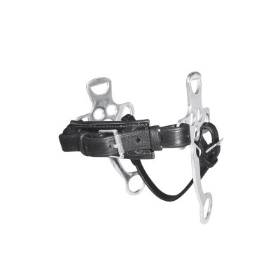 HACKAMORE TATTINI