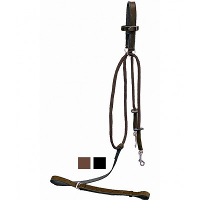 ABBASSATESTA/CHAMBON DASLO