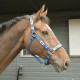 HEAD COLLAR ARGENTINIAN STYLE KM ELITE