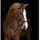 RAMBO MICKLEM DELUXE COMPETITION HORSEWARE