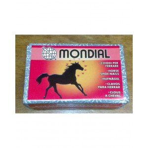 CHIODI MONDIAL 500 PEZZI VF7