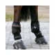 PASTERN WRAP KENTUCKY