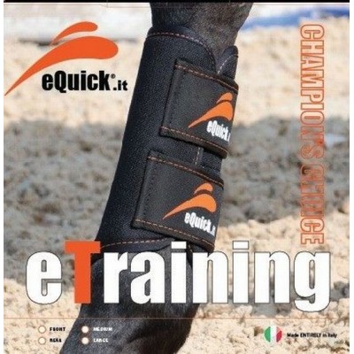 STINCHIERE EQUICK eTRAINING