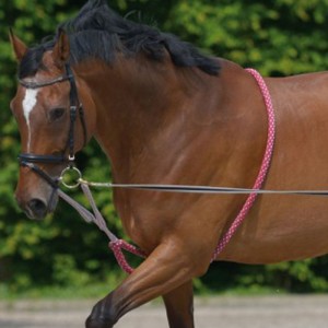 ABBASSATESTA IN CORDA WALDHAUSEN