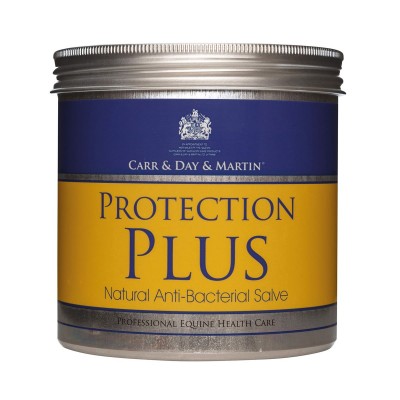 PROTECTION PLUS CARR&DAY&MARTIN