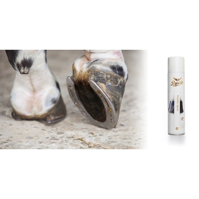 HOOFTAR SPRAY RAPIDE