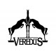 CARBON GEL ABSOLUTE VEREDUS