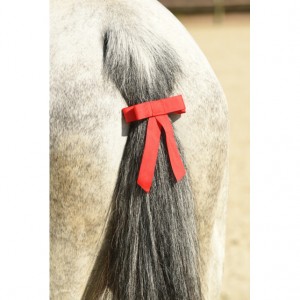 FIOCCO SEGNALETICO COLORE ROSSO NORTON
