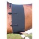 FASCIA DI RISPETTO LOVES HORSES