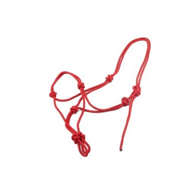 CAPEZZA POOL'S IN CORDA ANNODATA