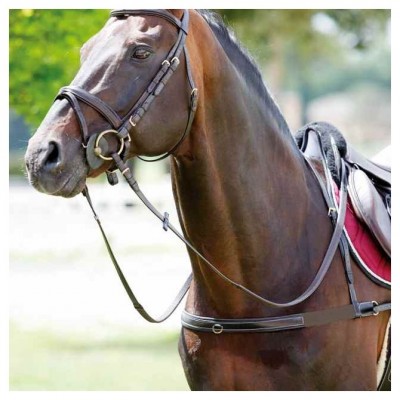 PETTORALE TATTINI CON ELASTICO