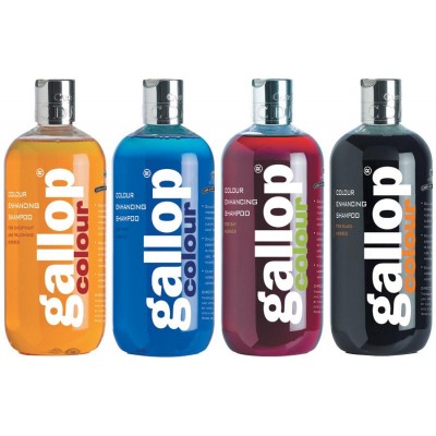 GALLOP SHAMPOO CARR&DAY&MARTIN