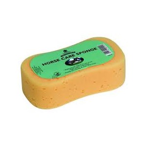 HORSE CARE SPONGE CARR&DAY&MARTIN