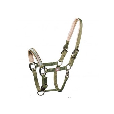 CAVEZZA MENPHIS SCHOCKEMOHLE