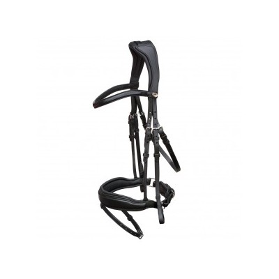 BRIGLIA CUOIO STANFORD SCHOCKEMOHLE