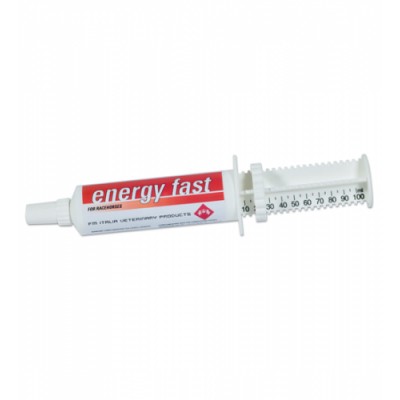 ENERGY FAST FM ITALIA